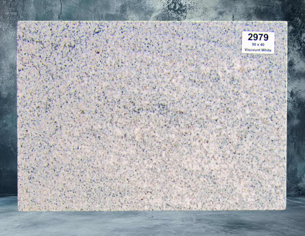 2979.jpg