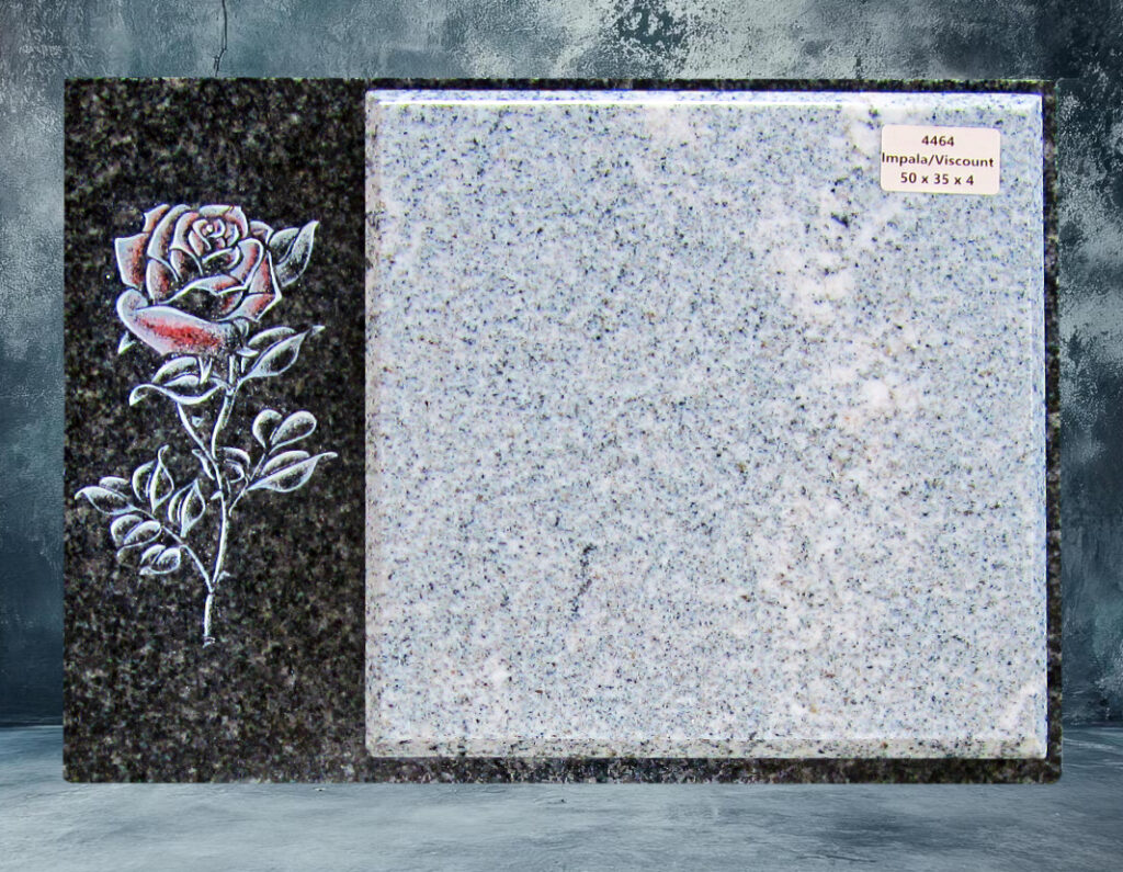 4464.jpg